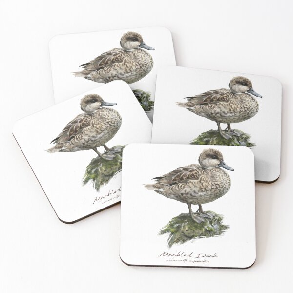 Item preview, Marbled Duck on Mossy Rock Bird Illustration designed and sold by Takeda-art.