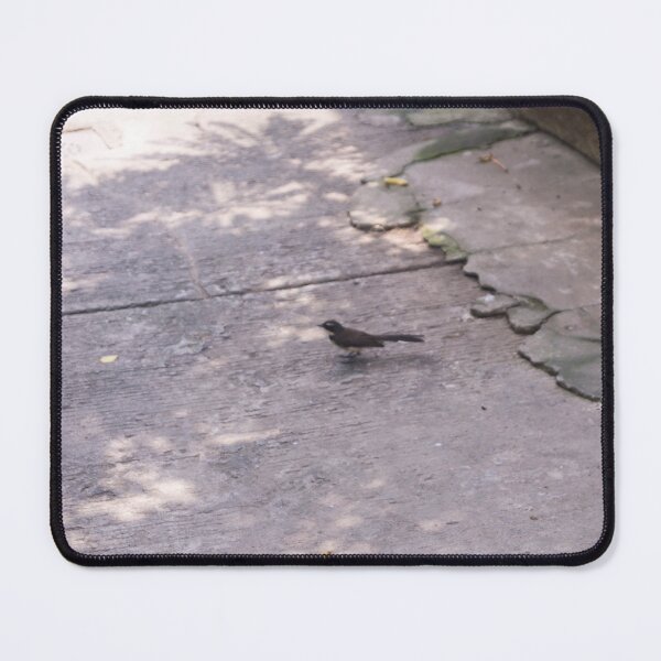 Item preview, Pied Fantail designed and sold by ROSE ANN BANILAR.