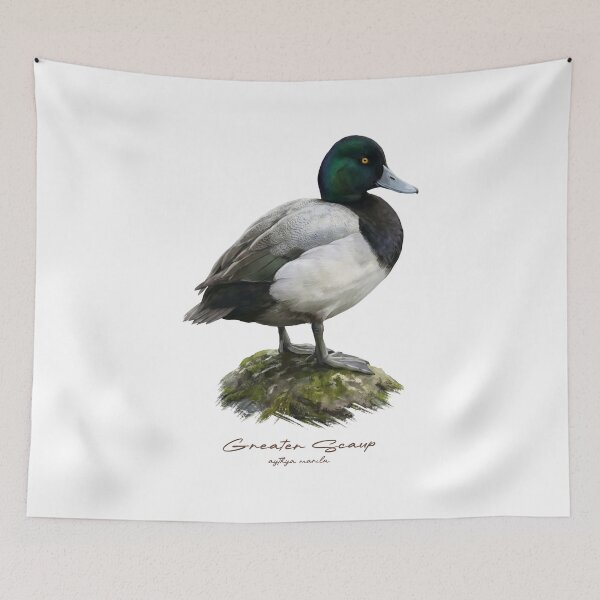 Item preview, Greater Scaup by the Water Bird Illustration designed and sold by Takeda-art.