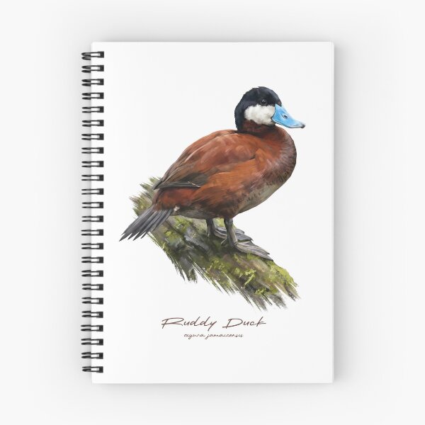 Item preview, Ruddy Duck on Mossy Log Bird Illustration designed and sold by Takeda-art.