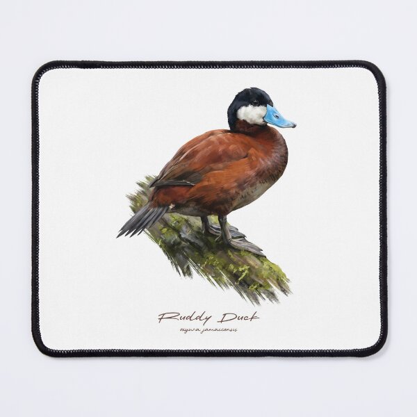Item preview, Ruddy Duck on Mossy Log Bird Illustration designed and sold by Takeda-art.