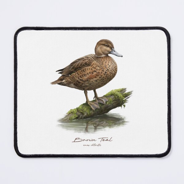 Item preview, Brown Teal by the Water Bird Illustration designed and sold by Takeda-art.