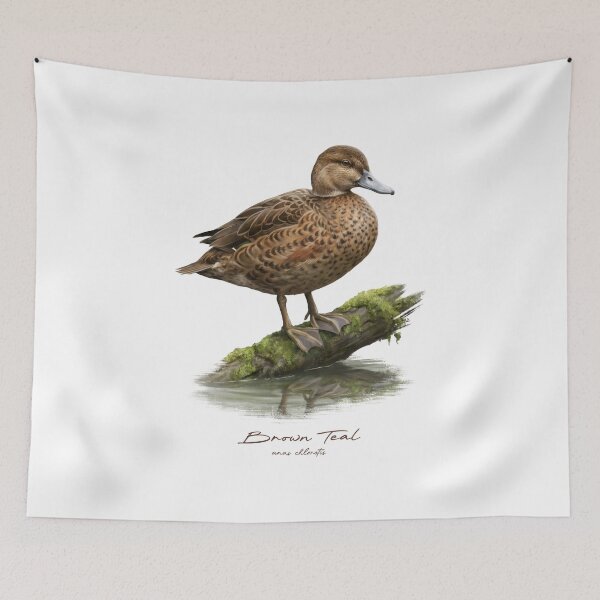 Item preview, Brown Teal by the Water Bird Illustration designed and sold by Takeda-art.