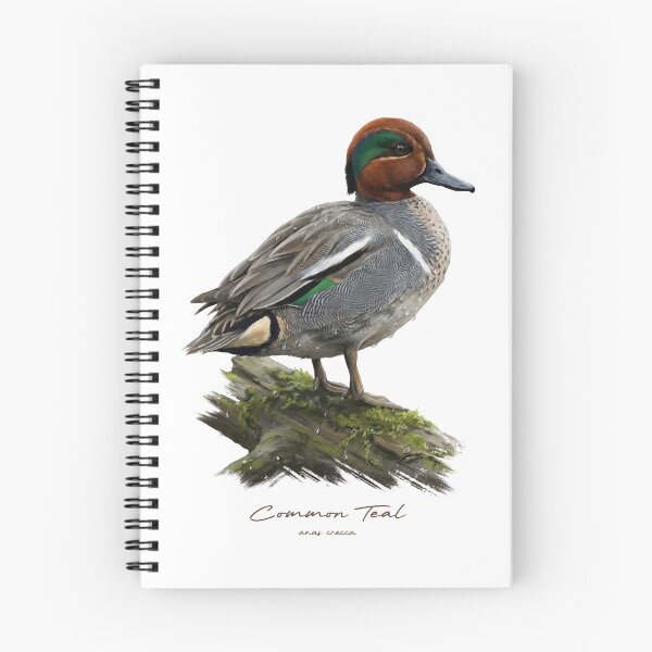 Item preview, Common Teal on Mossy Log Bird Illustration designed and sold by Takeda-art.