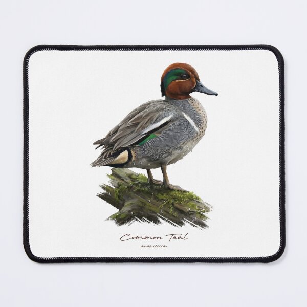 Item preview, Common Teal on Mossy Log Bird Illustration designed and sold by Takeda-art.
