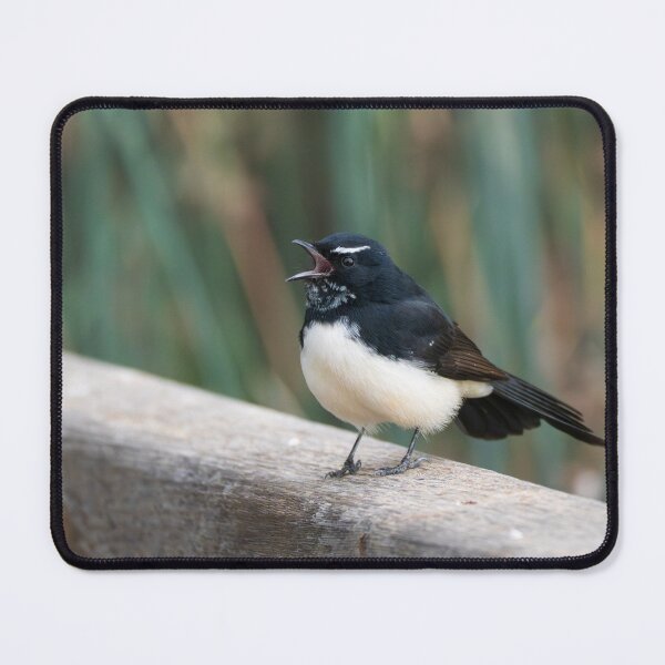 Item preview, Willie Wagtail perched on a fence designed and sold by Gilmore Photography.