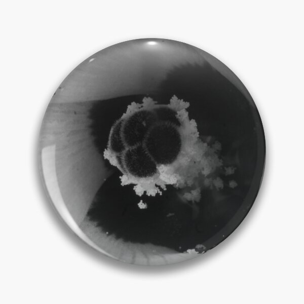 Item preview, B&W - Closeup of Okra Flower designed and sold by ROSE ANN BANILAR.