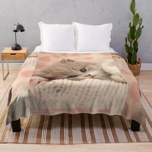 Item preview, Cute Fluffy Kitten Resting on Soft Blanket designed and sold by Foxieri.