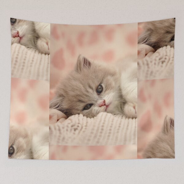 Item preview, Cute Fluffy Kitten Resting on Soft Blanket designed and sold by Foxieri.