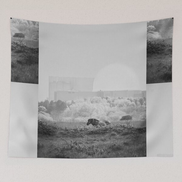 Item preview, Wild Horse in Landscape with Industrial Backdrop designed and sold by Foxieri.