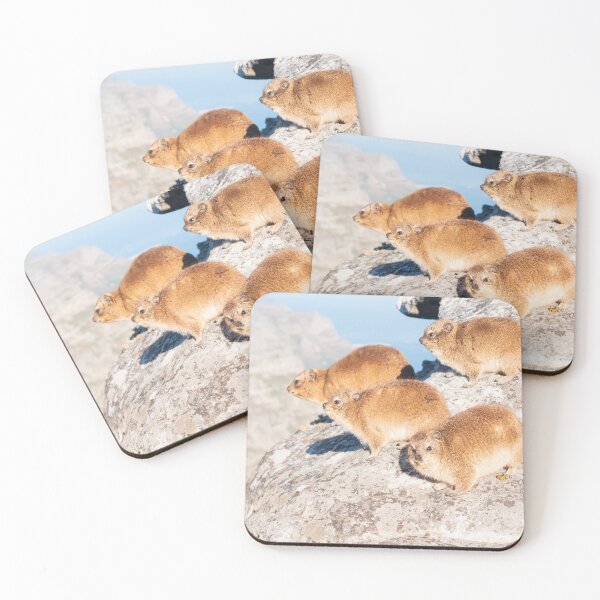 Item preview, The rock hyrax (dassie) designed and sold by Gilmore Photography.