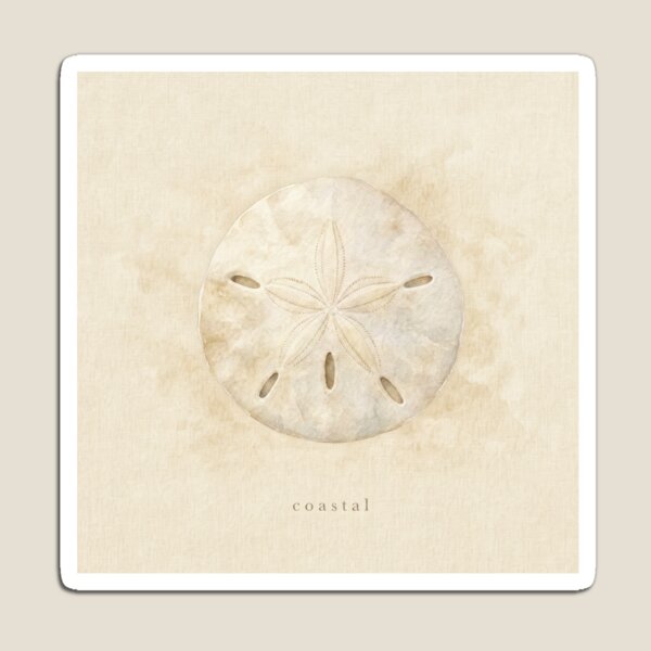 Item preview, Coastal Sand Dollar Watercolor Illustration | Coastal Wall Art designed and sold by FixationStudio.