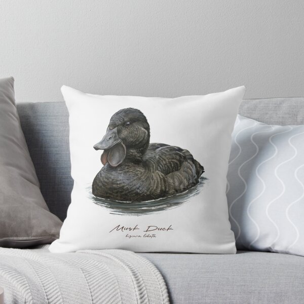 Item preview, Musk Duck in the Water Bird Illustration designed and sold by Takeda-art.