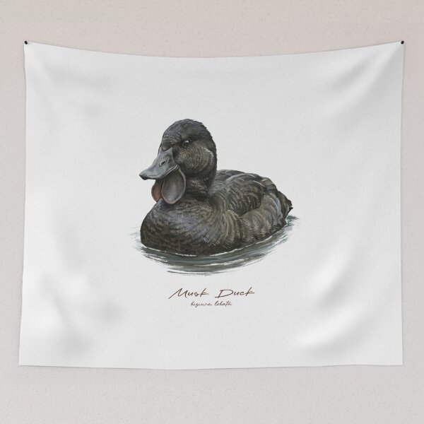 Item preview, Musk Duck in the Water Bird Illustration designed and sold by Takeda-art.