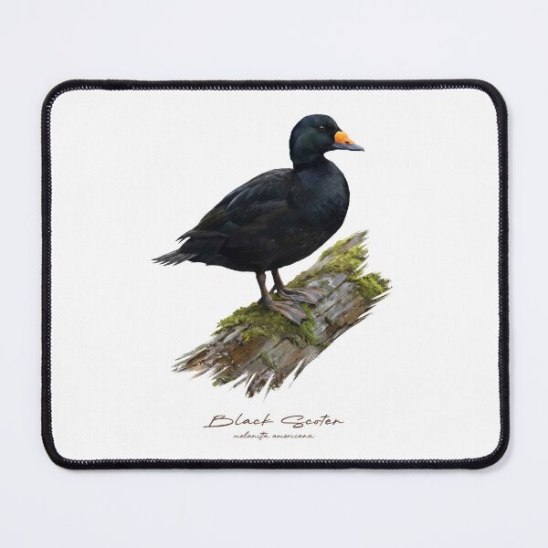 Item preview, Black Scoter on Mossy Log Bird Illustration designed and sold by Takeda-art.