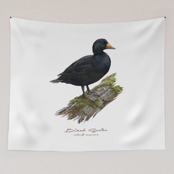 Item preview, Black Scoter on Mossy Log Bird Illustration designed and sold by Takeda-art.