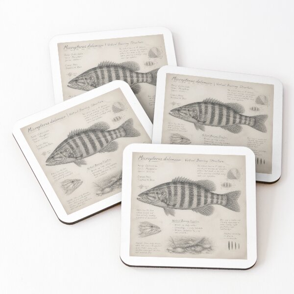 Item preview, Vintage Smallmouth Bass Anatomy Field Notes Graphic designed and sold by NobleCast .