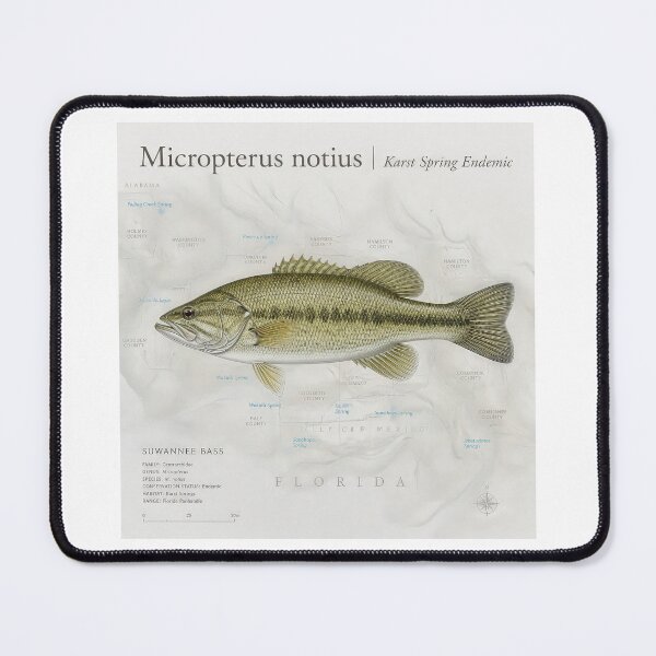 Item preview, Vintage Suwannee Bass Karst Spring Endemic Graphic designed and sold by NobleCast .