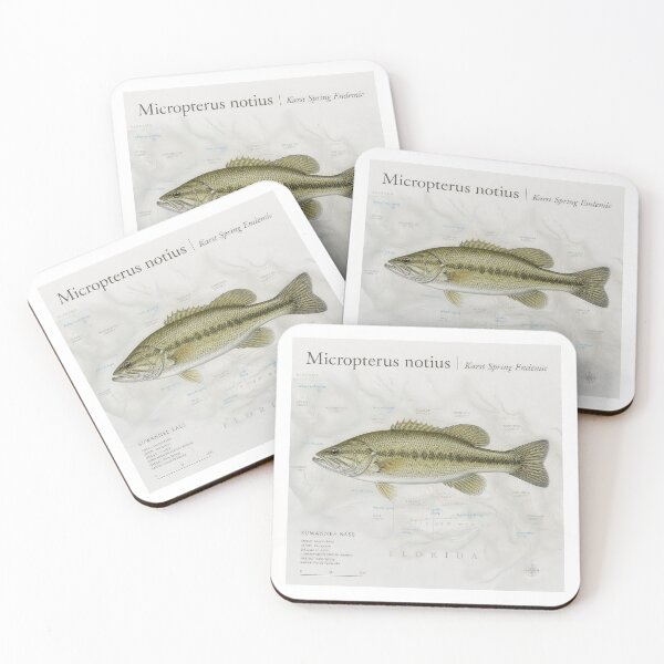 Item preview, Vintage Suwannee Bass Karst Spring Endemic Graphic designed and sold by NobleCast .