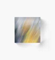 "Subtle" Acrylic Block