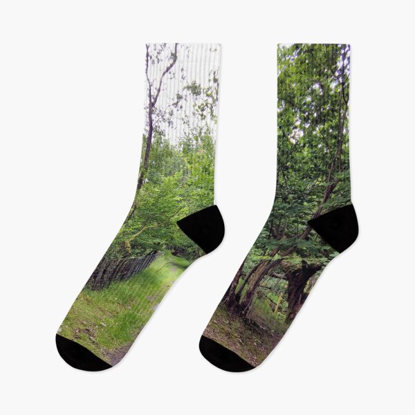 Item preview, paseo por el bosque designed and sold by KathleenDawson.
