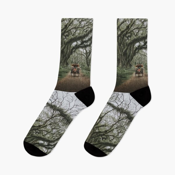 Item preview, Horse Carriage in Mystical Giant Tree Forest designed and sold by Drinney.