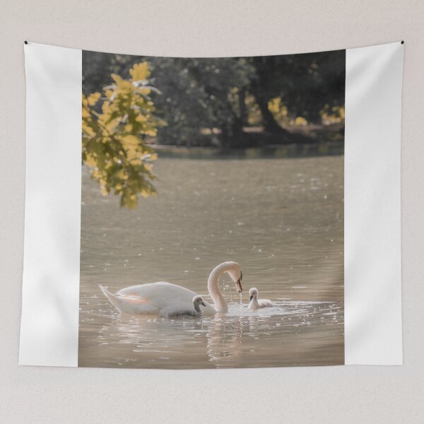 Item preview, Mother Swan with Cygnets Swimming in Golden Lake designed and sold by Tyresett.