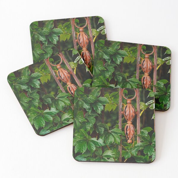 Item preview, Rusty Iron Fence and Green Leaves designed and sold by Rabee Khalil Photography.
