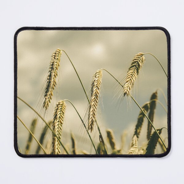 Item preview, Golden Wheat Field Under Cloudy Summer Sky designed and sold by Tyresett.