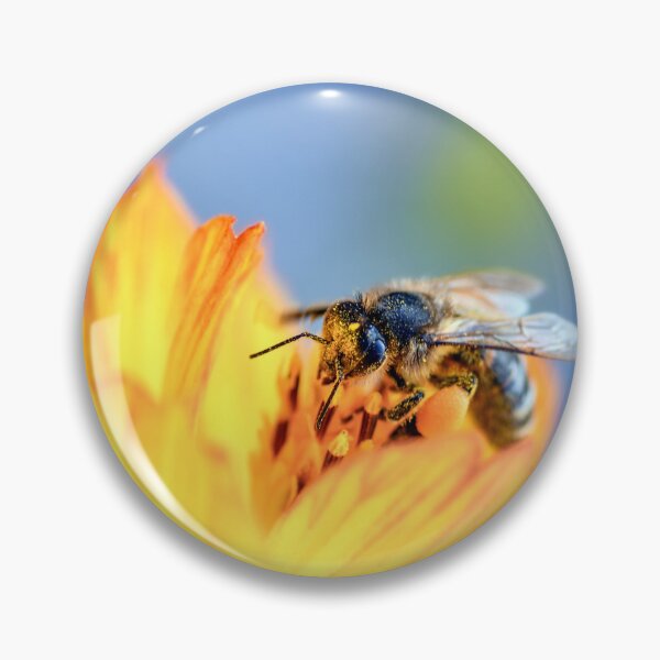 Aperçu de l'œuvre Abeille butinant une fleur jaune vif (gros plan) créée et vendue par Tyresett.