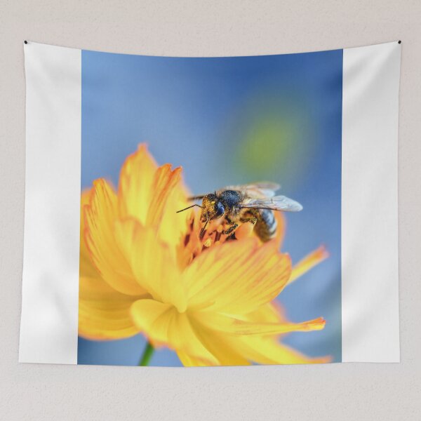 Aperçu de l'œuvre Abeille butinant une fleur jaune vif (gros plan) créée et vendue par Tyresett.