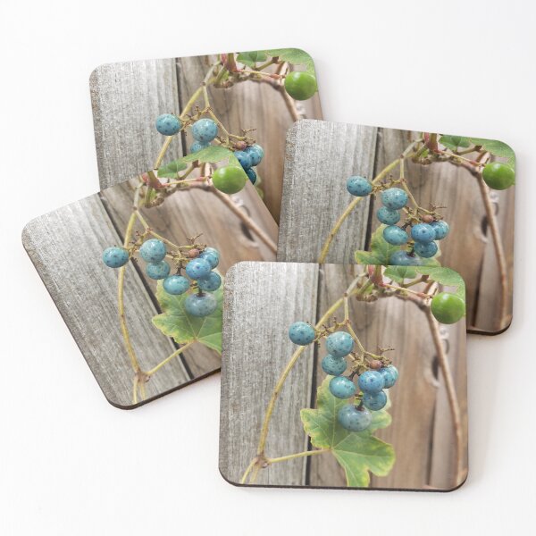 Item preview, Porcelain Berry Against a Wooden Gate designed and sold by concretebotany.