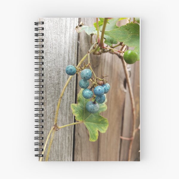 Item preview, Porcelain Berry Against a Wooden Gate designed and sold by concretebotany.