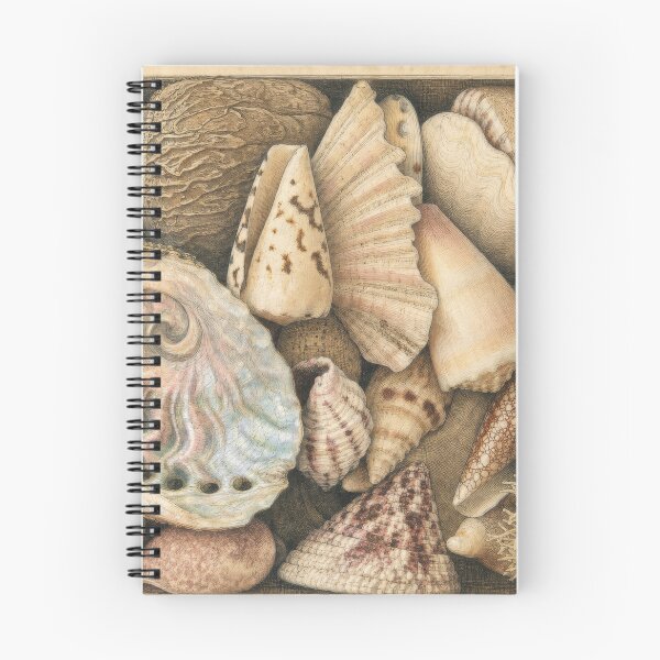 Item preview, Seashell collection box designed and sold by Dreaming Shell.