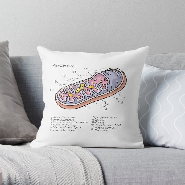 Mitochondrion Cell Biology Diagram Throw Pillow