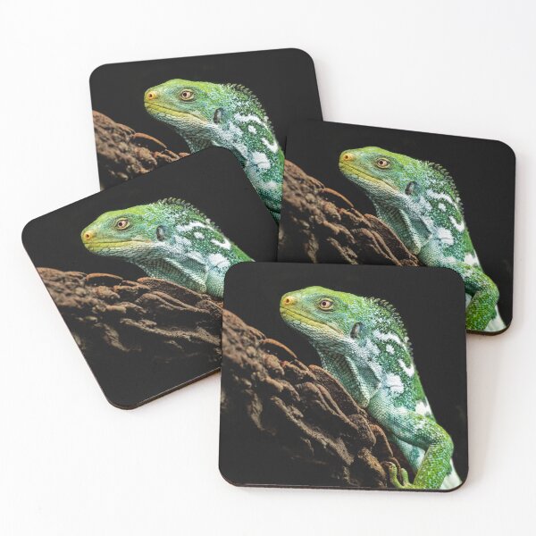 Item preview, Lagarto iguana verde posado en el tronco de un árbol. designed and sold by Kellesu.