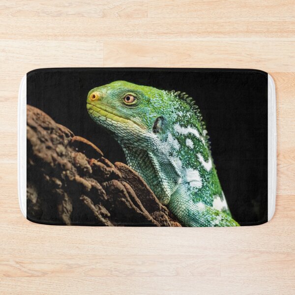 Item preview, Green Iguana Lizard Perched On Tree Trunk designed and sold by Kellesu.
