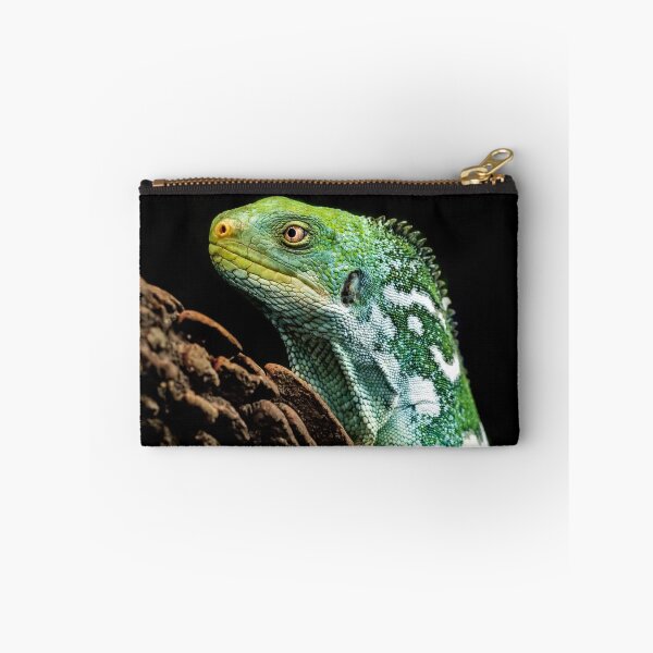 Item preview, Green Iguana Lizard Perched On Tree Trunk designed and sold by Kellesu.