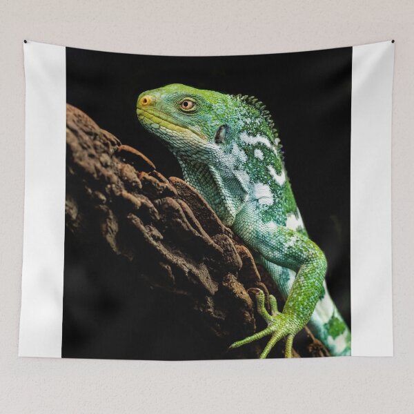 Item preview, Green Iguana Lizard Perched On Tree Trunk designed and sold by Kellesu.