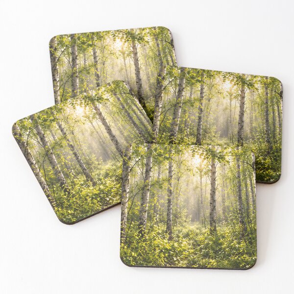Artikelvorschau, Sunlit Birch Forest entworfen und verkauft von NordenPosters.