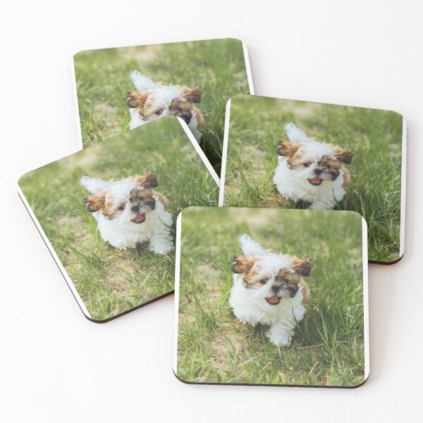 Item preview, Cute Fluffy Puppy Running On Green Grass Lawn designed and sold by Kellesu.