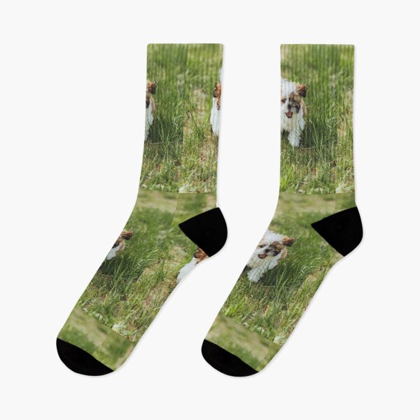 Item preview, Cute Fluffy Puppy Running On Green Grass Lawn designed and sold by Kellesu.