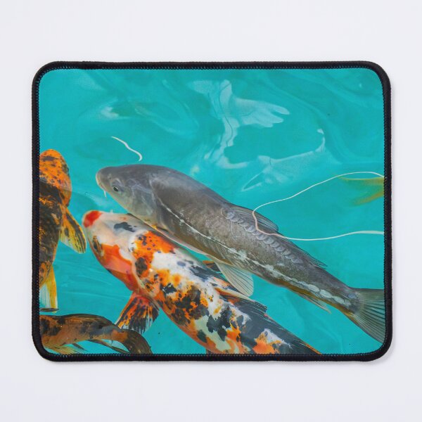 Item preview, Colorful Koi Fish Swimming In Clear Blue Water designed and sold by Kellesu.