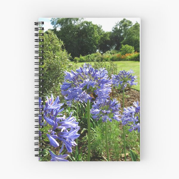 Item preview, Lilies of the Nile - Beautiful Blue Agapanthus designed and sold by Kathryn Jones.