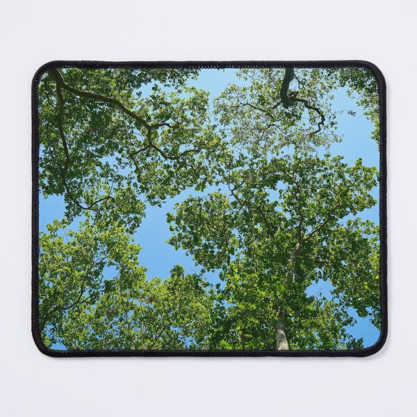 Item preview, Treetops designed and sold by KNBS.
