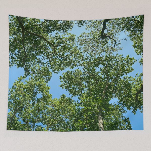 Item preview, Treetops designed and sold by KNBS.
