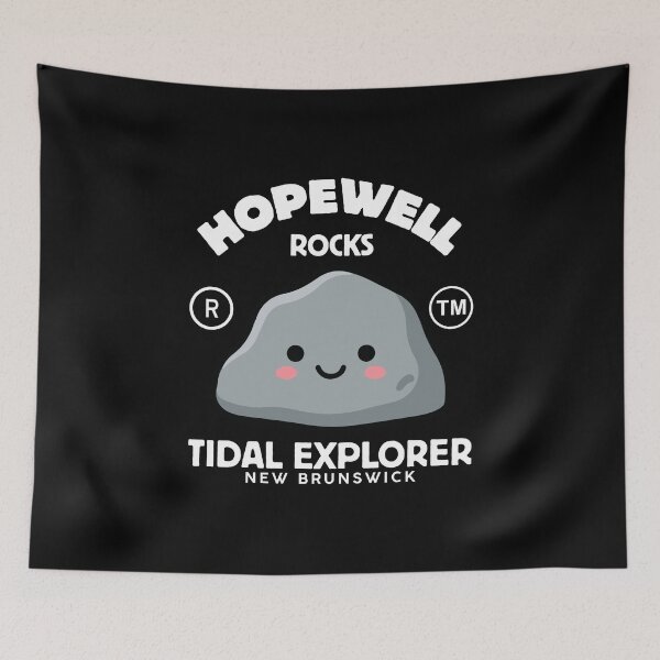 Item preview, Hopewell rocks tidal explorer designed and sold by Peerless-Prime.