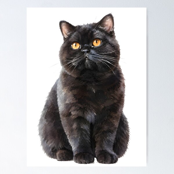 Item preview, Black British Shorthair designed and sold by HOMETOWN86.
