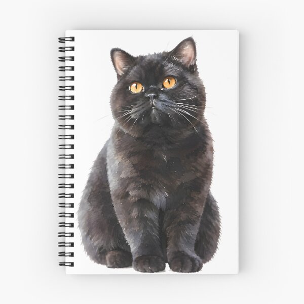 Item preview, Black British Shorthair designed and sold by HOMETOWN86.