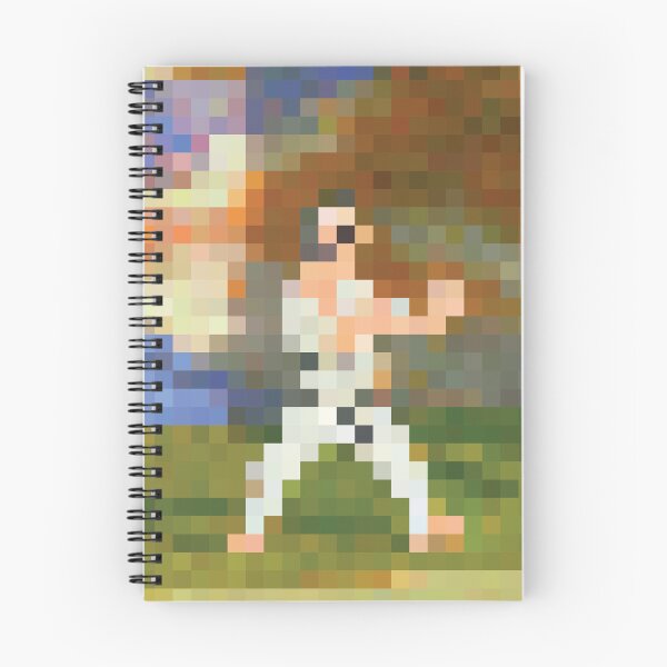 Artikelvorschau, Karateka-Spiel 1984 entworfen und verkauft von Saikishop.